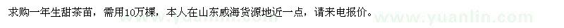 求購一年生甜茶苗
