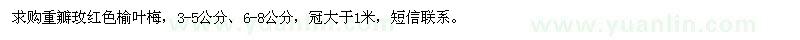 求購(gòu)重瓣玫紅色榆葉梅