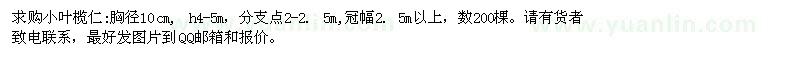 求購胸徑10公分小葉欖仁