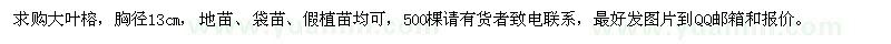 求購胸徑13公分大葉榕