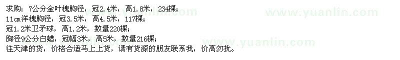 求購(gòu)金葉槐、洋槐、衛(wèi)矛球
