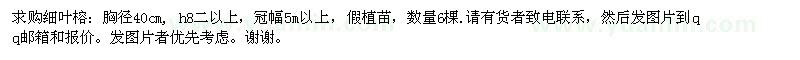 求購胸徑40公分細(xì)葉榕