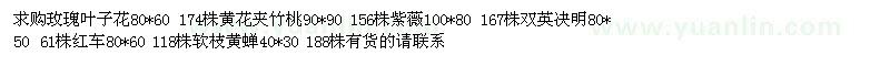 求購玫瑰葉子花、黃花夾竹桃、紫薇