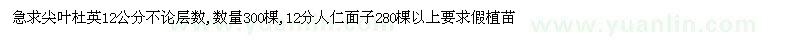求購12公分尖葉杜英、仁面子
