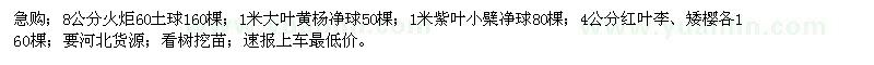 求購(gòu)火炬、大葉黃楊球、紅葉李、矮櫻等
