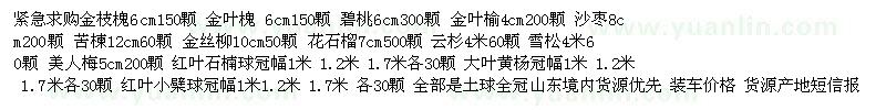 求購金枝槐、金葉槐 、碧桃