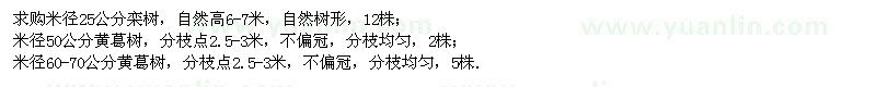 求購欒樹(shù)、黃葛樹(shù)