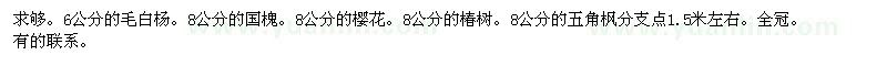 求購毛白楊、國槐、櫻花