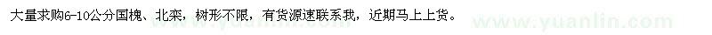 求購6-10公分國槐、北欒