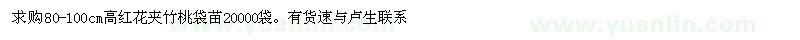 求購紅花夾竹桃