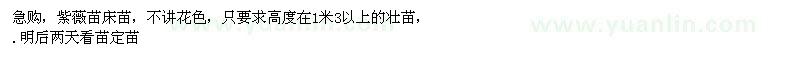求購紫薇苗床苗