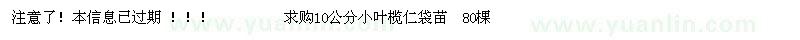 求購10公分小葉欖仁袋苗