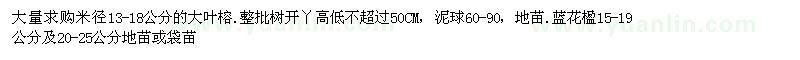 求購大葉榕、藍花楹