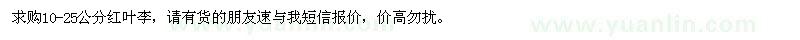 求購(gòu)10-25公分紅葉李