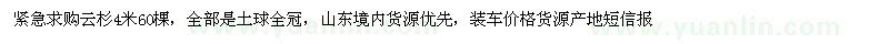 求購4米云杉