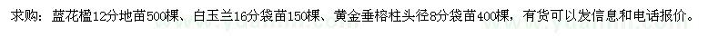 求購藍花楹、白玉蘭、黃金垂榕柱
