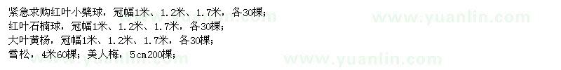 求購紅葉小檗球、紅葉石楠球、大葉黃楊、雪松