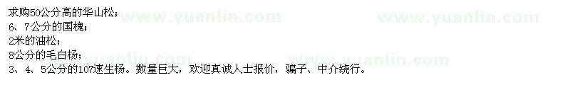 求購華山松、國槐、油松、毛白楊、速生楊