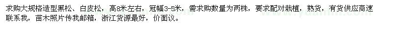 求購造型黑松、白皮松