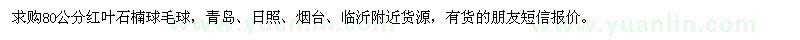 求購80公分紅葉石楠球毛球