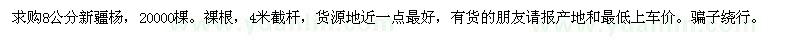 求購8公分新疆楊