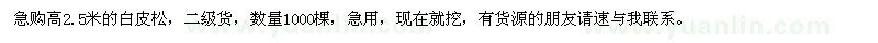 求購高2.5米白皮松