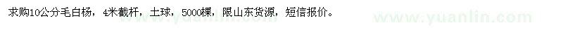 求購10公分毛白楊