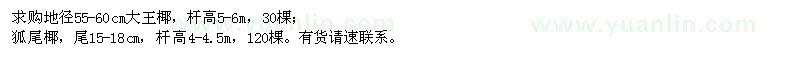 求購地徑55-60公分大王椰、15-18公分狐尾椰