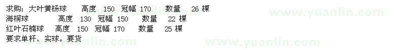 求購(gòu)大葉黃楊球、海桐球、紅葉石楠球