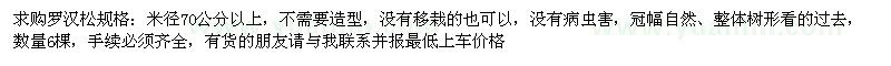 求購米徑70公分以上羅漢松