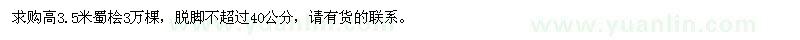 求購高3.5米蜀檜