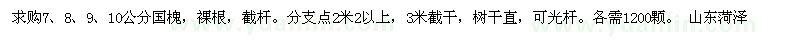 求購(gòu)7、8、9、10公分國(guó)槐