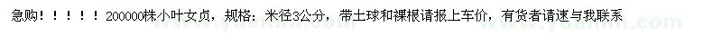 求購小葉女貞