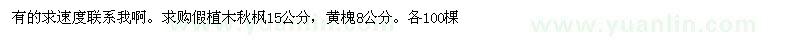 求購假植木秋楓、黃槐