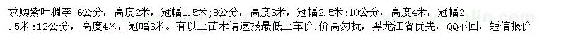 求購6、8、10、12公分紫葉稠李 