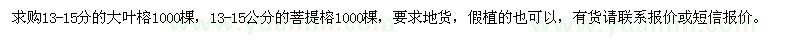 求購13-15分大葉榕、菩提榕