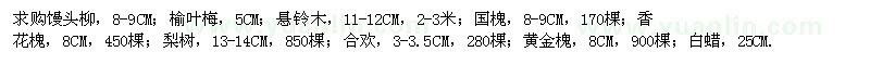 求購饅頭柳、榆葉梅、懸鈴木、國槐、香花槐、梨樹等苗木