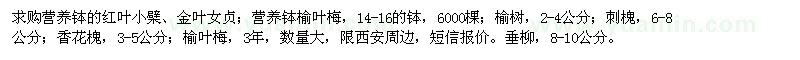 求購紅葉小檗、金葉女貞、榆葉梅、垂柳