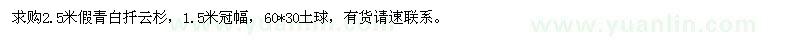 求購2.5米假青白扦云杉