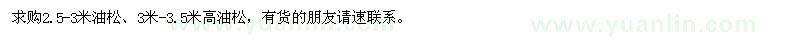 求購高2.5-3米、3-3.5米油松