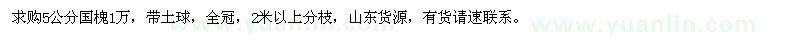 求購5公分國槐