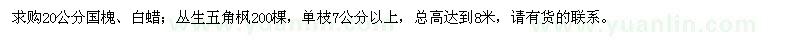 求購國槐、白蠟、叢生五角楓