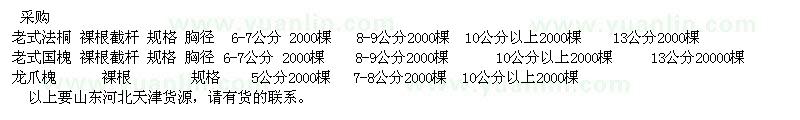 求購老式法桐、老式國槐、龍爪槐
