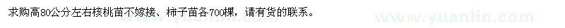 求購高80公分左右核桃苗、柿子苗