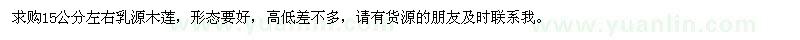 求購15公分左右乳源木蓮