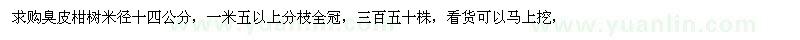 求購米徑14公分臭皮柑樹 