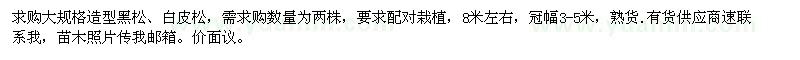 求購大規(guī)格造型黑松、白皮松