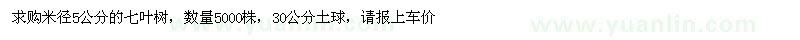 求購米徑5公分七葉樹