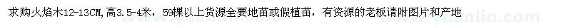 求購12-13公分火焰木