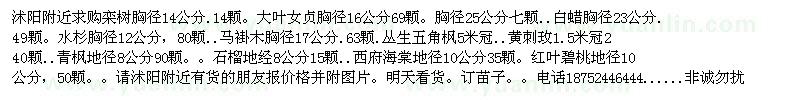 求購欒樹大葉女貞